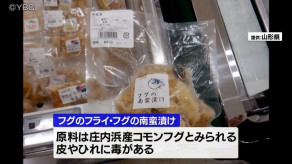 【山形】有毒の尾ひれが付いた状態で　フグ加工品100パック超販売か（鶴岡市）