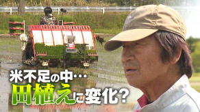 【米の価格高騰に農家の本音】30年以上コメを作る波多野さん 「資材費や労力を考えると、これまでは価格が安すぎた」・・コメ農家だけでは食べていけず、現在も地元で造園業のアルバイトをしながら生計を立てている