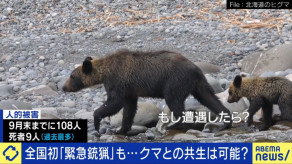【社会】「人を食べる習慣を持つクマが増えている」全国的に増えるクマの人的被害「明らかに局面は変わった」と識者 市街地中心部、マンションや地下鉄駅前にも出没
