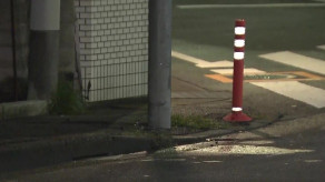 【東京・青梅市】「お母さんが心臓マッサージされていた」車が電柱に衝突…後部座席でシートベルト着用の8歳男児死亡
