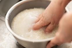 【古いお米・古古古米 おいしく食べるには？】力を入れて研ぐと割れてしまう、研ぐときは力を入れない、浸水時間を１時間たっぷりとる、酒、みりん、はちみつのいずれかを入れて炊飯、保存はファスナー付きの袋に