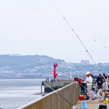 【趣味】「釣り人口2000万人⇒500万人」で老舗釣具店も暖簾を下ろす文化危機…今なにが起きているのか