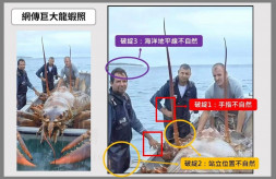 【国際】「核廃水で変異の巨大エビ」偽情報の投稿拡散、背後に中国か　台湾民間団体「捏造」と結論