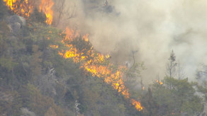 【火事】自衛隊の爆破訓練中に火が燃え移ったか　機雷除去を想定し少量のダイナマイト使用　広島県江田島市で山火事　現在も延焼中