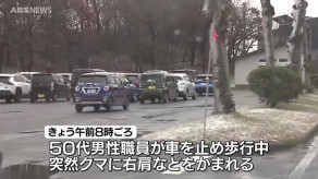 【秋田】大森山動物園駐車場付近で“野生のクマ”に襲われ職員がけが　クマはその後立ち去る　園で飼育のクマはおりの中にいるのを確認