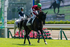 【競馬】 2.8億円ホース・アトミックリーチはデビュー4着…藤田晋オーナー所有、馬名は「麻雀のリーチの極限状態」