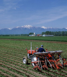 【農業】ニッポンの農業の「限界」がやってくる…多くが70歳以上になる農家の「厳しすぎる現実」