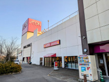 【社会】「地方のファミリー層はイオンで休日を過ごす」は都市伝説…地方在住のネット編集者が明かす「都会人はフラペチーノ片手にショッピング」と同じくらいの“誤解”