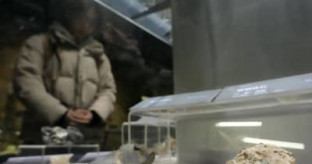 【台湾有事】中国、規制後に対日輸出許可　レアアース調達で依存脱却警戒