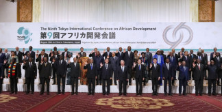 【日本を滅ぼしたくはない】石破首相は日本国内にホームタウンを設定し、アフリカからの移民を日本に定住させる為の特別ビザプログラムを創設、日本の健康保険制度に登録し日本人との結婚を支援する　2