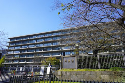 【外務省】ロシアへの日本の大学生らの短期派遣事業、7年ぶり再開へ　ウクライナ侵攻で中断