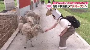 【大分県九重町】雄大な自然の中で「ヒツジになりきって」自然体験施設7月オープン