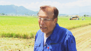 【コメ余りに農家が悲鳴　売値は生産原価の半分以下に】コメ農家 「政府には何の期待もできない。高市総理は何を考えているのかな。分からん。もう愛想尽かした」