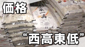 【値下】コメの平均販売価格 5キロ3835円 4週連続で値下がり
