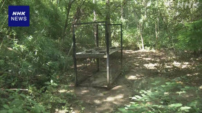 【徳島】山の中で2人死亡 手や足に複数の傷 イノシシに襲われたか