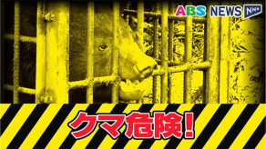 【秋田】畑の物置小屋荒らされ農業用殺虫剤3袋が…近くではクマの死体見つかる