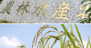【高騰続くコメ価格、打つ手少ない農林水産省】消費者の不満が強まる一方で、農林水産省幹部は一様に「切れるカードが見つからない」と話す
