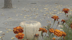 【東京・大田区】小学校高学年の児童2人、50代とみられる男に殴られる 住宅にボールが入りトラブルか