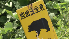 【宮城】「80センチのクマが50センチの柴犬咥えて森に逃げた」クマも柴犬も行方分からず 大崎市