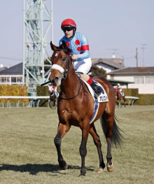 【競馬】「あかんかー」アーモンドアイ初子３戦目も黒星で高配当演出　ファンため息「もどかしい」「とりあえず長い目で」