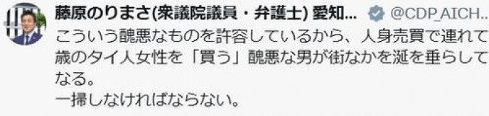 【政治】立民衆院議員、「苺ましまろ」キャラクター少女の水着姿を「醜悪」タイ人少女の性搾取事件と関連付け…党内で反発