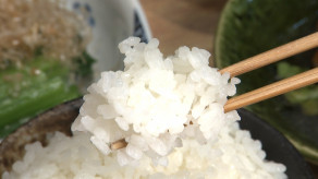 【嬉】ついに「1000円台」新米求め長い行列　定食店“おかわり無料”復活で客足戻る　コンビニおにぎりもお得に