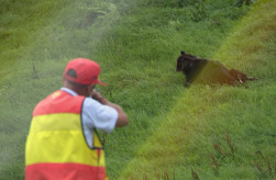 【ハンター試験で出題ミス】狩猟免許の"知識試験"で鳥獣捕獲に関し「正解のない問題」を出題…"全員正解"扱いとなり新たに2人が合格、次の"技能試験"へ＜北海道＞