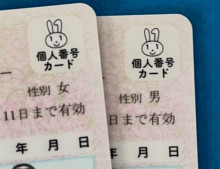 【政治】マイナンバーカード取得義務化を見送り　政府
