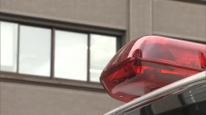 【仙台】「お金を使うことが惜しい」ヒマワリ２本盗んだ疑いで６４歳の女逮捕