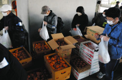 【社会】都庁前の食品配布会に並ぶ人がついに1000人を超え…「その日暮らすだけで精いっぱい」利用者の悲痛な声