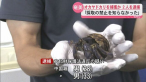 【奄美大島】「密猟のような外国人風の2人組がいる」国の天然記念物オカヤドカリ許可なく捕獲か　中国籍2人を逮捕