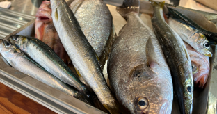 【経済】日本人の「魚離れ」止まらず　消費量20年で半減、共働きで食卓に変化