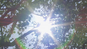 【🥵】この夏の日本「危険な高温」の日数は62日に　日本の人口の99%以上が30日以上「危険な高温」を経験　米研究機関が分析