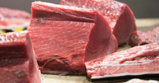 年間で“約15,000トン”も廃棄されているマグロの部位…厄介者扱いされている「血合い」を知っていますか