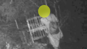 【福岡】害獣駆除の「箱罠」に妨害行為相次ぐ　扉を蹴り上げて閉める不審人物も…猟友会から相談受け警察は「警告」などの対応