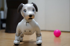 【ロボット】ソニー「aibo」の国内販売終了