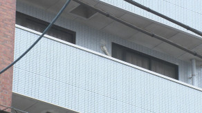 【東京・荒川区】「どうしていいか分からず置いた」死亡した生まれたての赤ちゃんを寮の押し入れに遺棄した疑い　ネパール国籍の女を逮捕