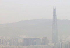 【PM2．5】粒子状物質、肺だけでなく皮膚まで攻撃・・・アジア最大規模840万人の研究で確認