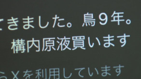 【社会】 隠語で『愛知鳥』『原液』とは？ ネット上にあふれる盗撮画像 子どもたちが気付かない所で性的な被害に…