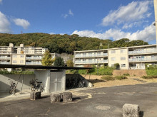 【熊本県】県営団地でペット飼育OKに　高齢者の孤立解消へ